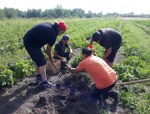 <p>Seeds grow a garden of fresh food that will help families have access to healthy, nutritious food all year long.</p>
