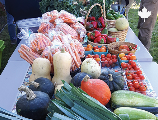 <p>Provide a family with a fresh food box, that could consist of wild game, locally harvested and preserved food and supplemented with other fresh food as needed.</p>
